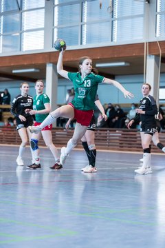 Bild 120 - F HSG Kre/Mue - HFF Munkbrarup : Ergebnis: 49:20